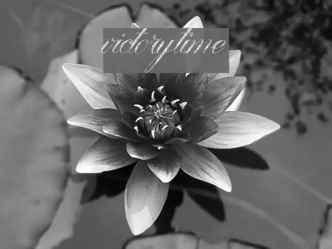 VictoryTime Font examples