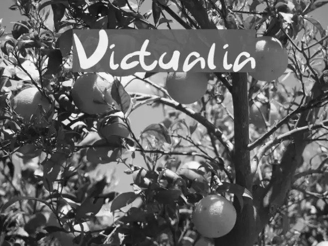 Victualia Font examples