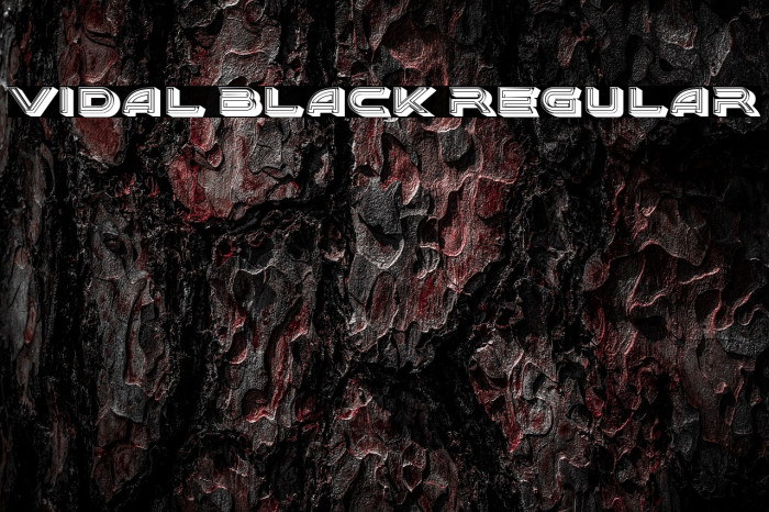 Vidal Black Regular Example 1