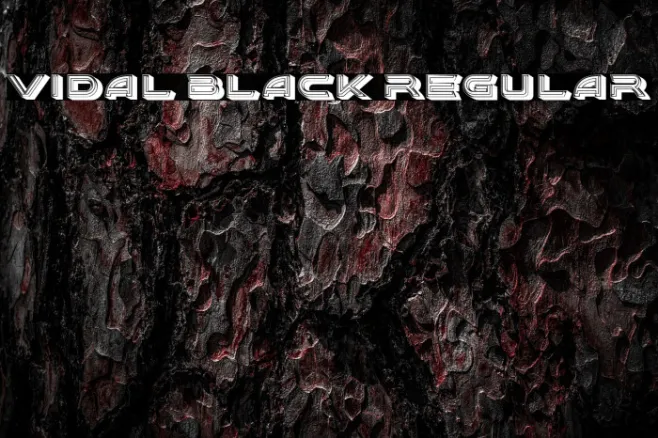 Vidal Black Regular Example 1