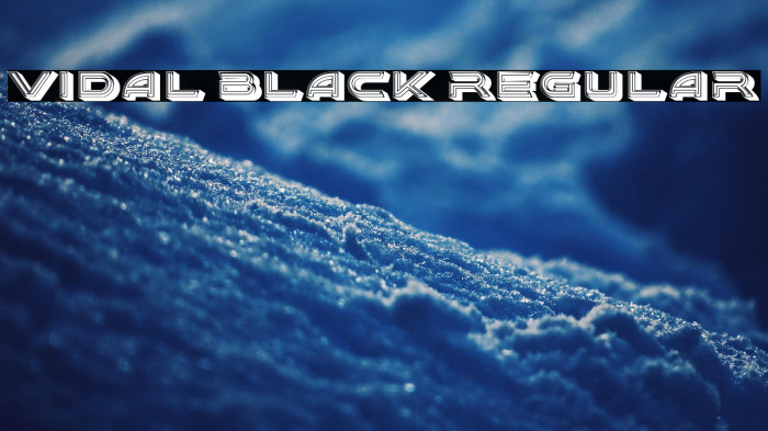 Vidal Black Regular Example 2