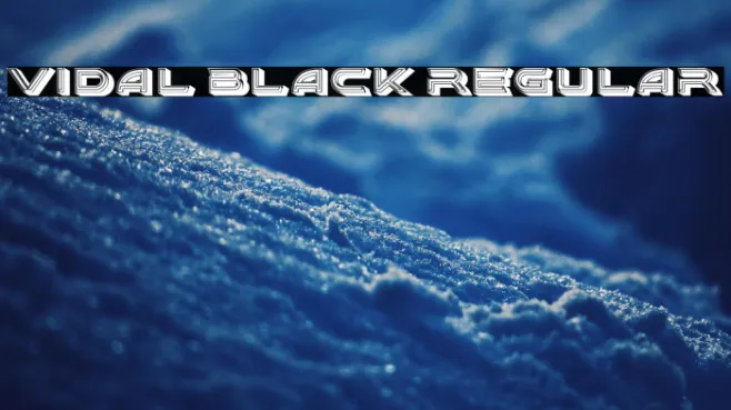 Vidal Black Regular Example 2