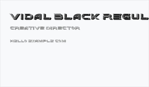 Vidal Black Regular Business Card
