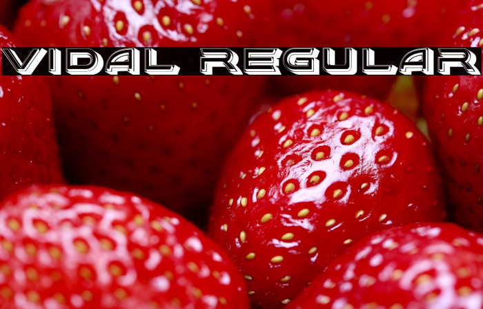 Vidal Regular Example 2