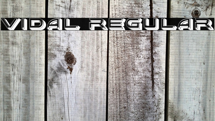 Vidal Regular Example 3