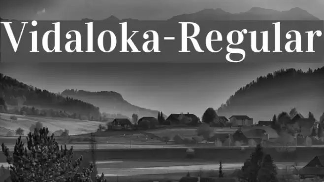 Vidaloka-Regular Font examples