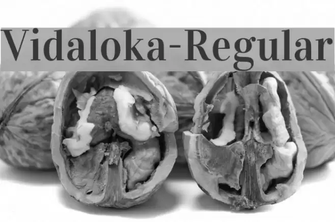 Vidaloka-Regular Font examples