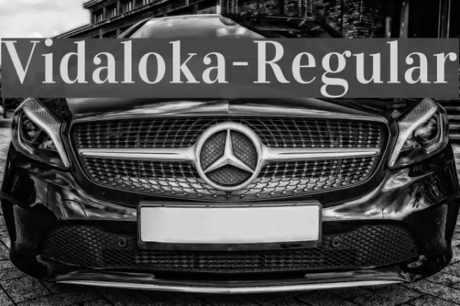 Vidaloka-Regular Font examples