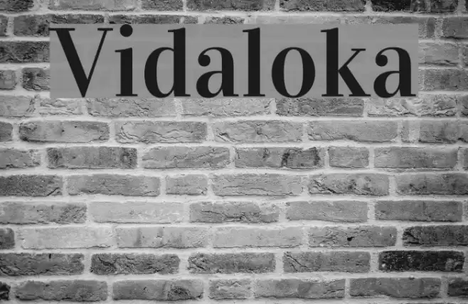 Vidaloka Font examples