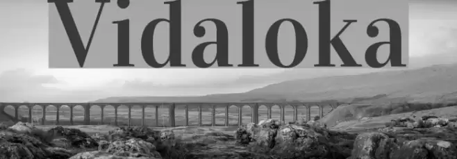 Vidaloka Font examples