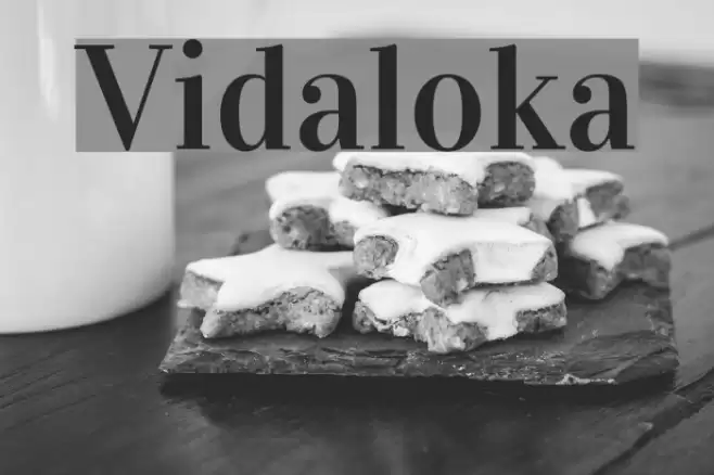 Vidaloka Font examples