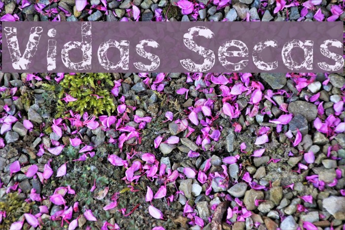 Vidas Secas Font examples