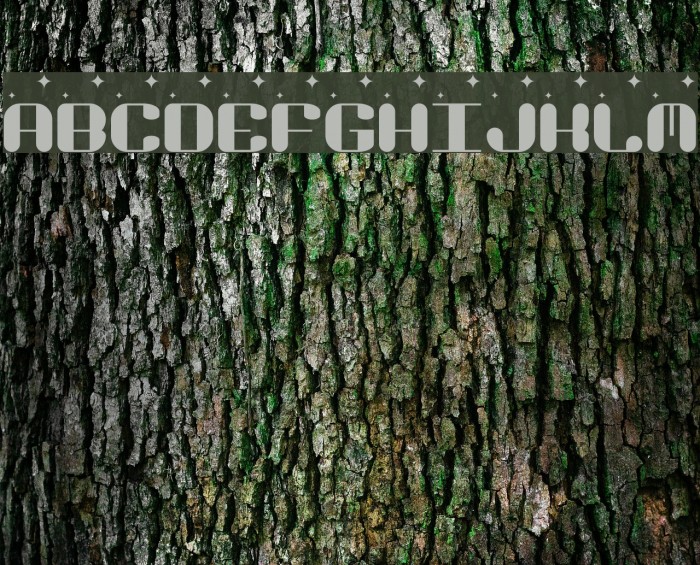 Video Dames Regular Font examples