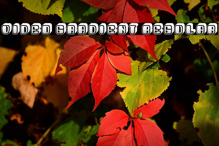 Video Gradient Regular Example 1