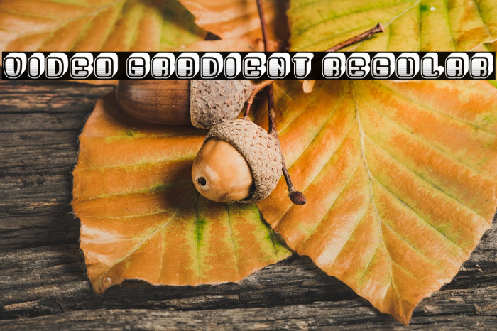 Video Gradient Regular Example 3