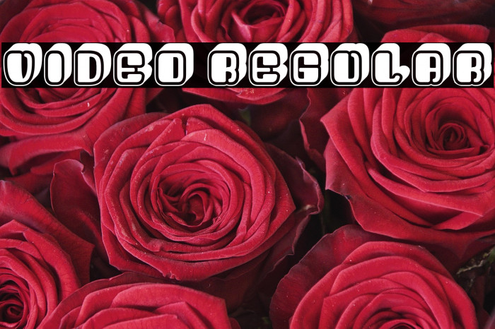 Video Regular Example 2