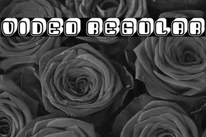 Video Regular Font examples