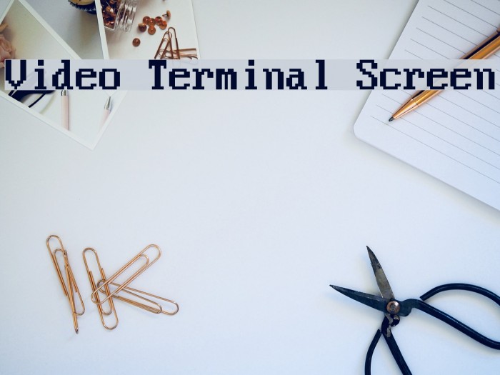 Video Terminal Screen Polices examples