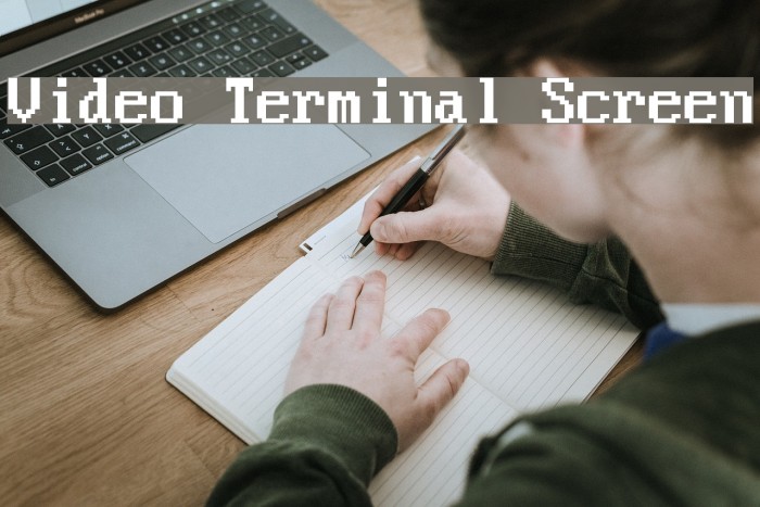 Video Terminal Screen Polices examples