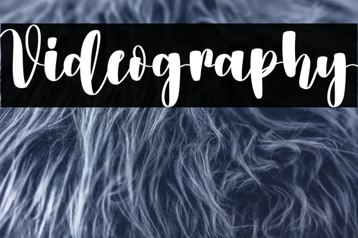 Videography Example 2