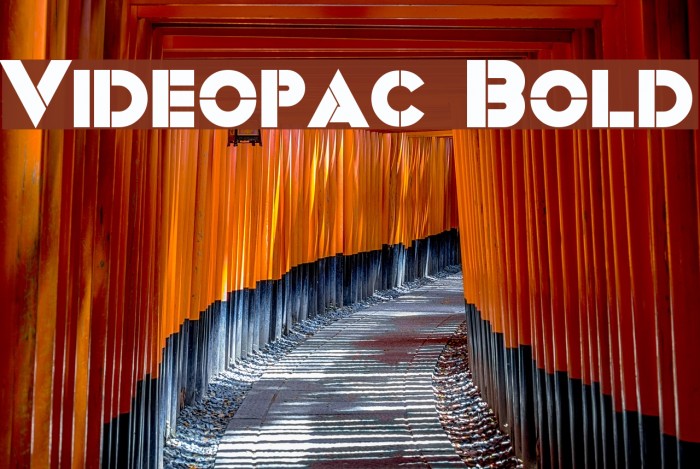 Videopac Bold Font examples