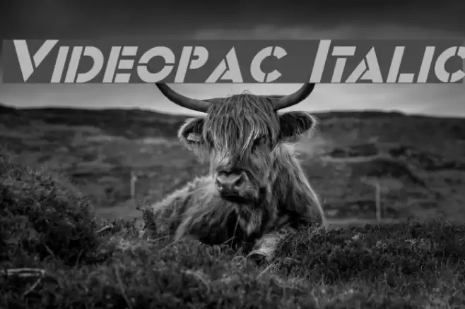 Videopac Italic Font examples