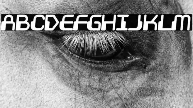 Videophreak Font examples