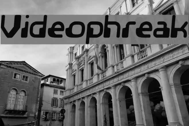 Videophreak Polices examples