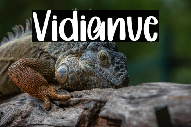 Vidianue Example 1