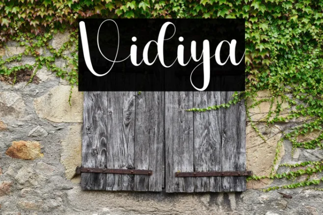 Vidiya Example 3