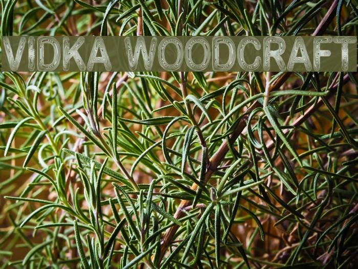 Vidka Woodcraft Font examples