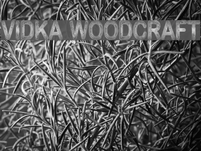 Vidka Woodcraft Font examples