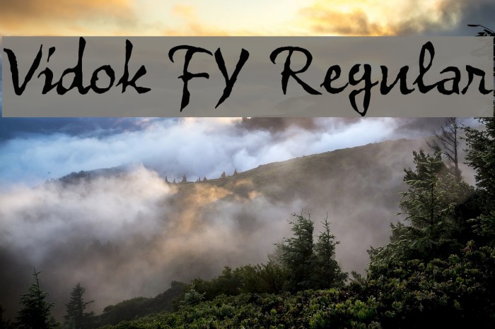 Vidok FY Regular Font examples