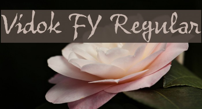Vidok FY Regular Font examples