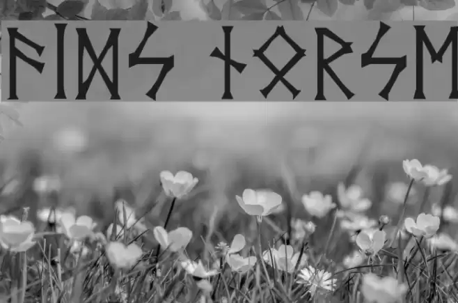 Vid's Norse Font examples