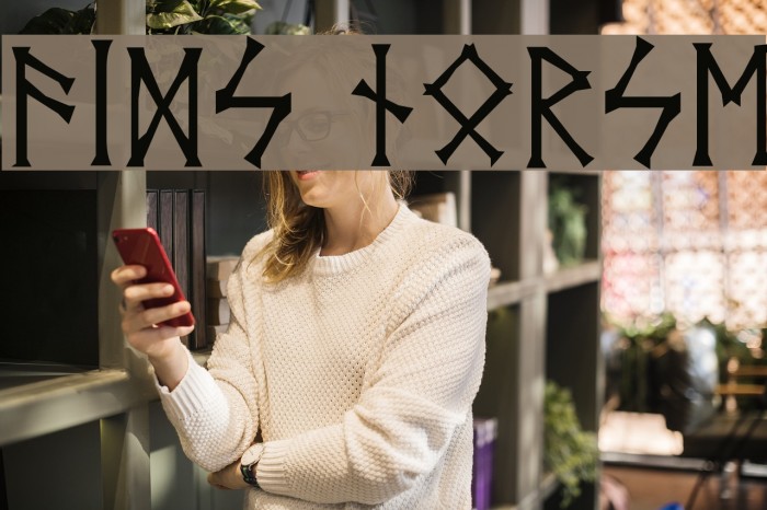 Vid's Norse Example 3