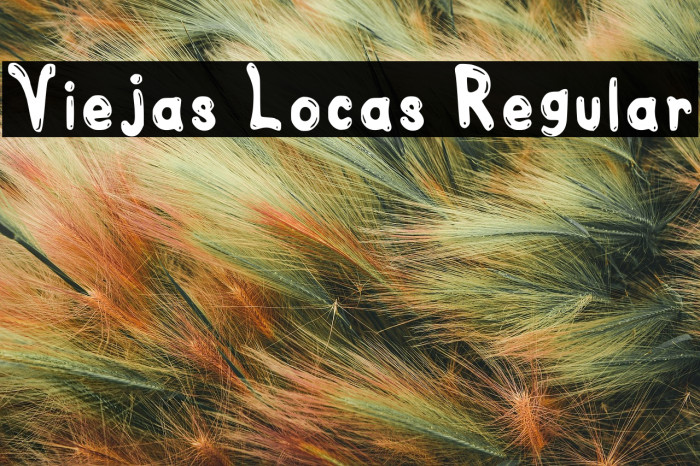 Viejas Locas Regular Example 1