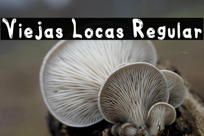 Viejas Locas Regular Example 3
