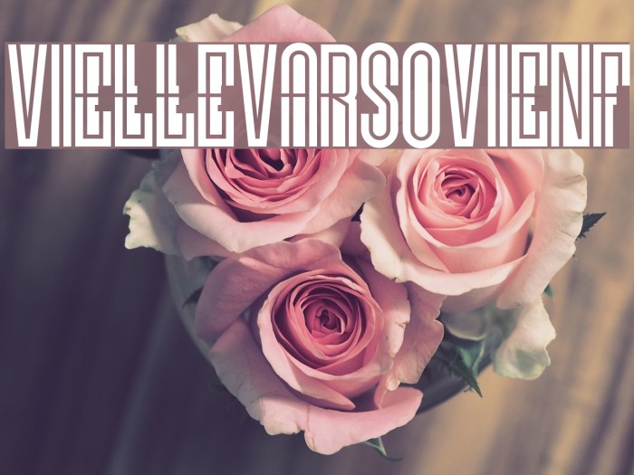 VielleVarsovieNF Polices examples