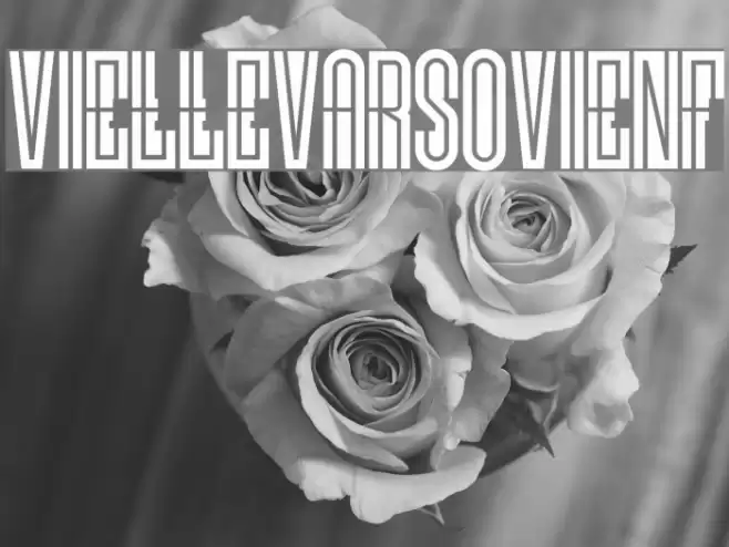 VielleVarsovieNF Schriftart examples
