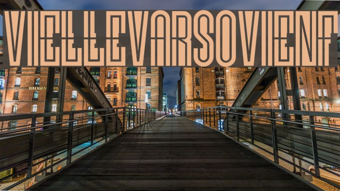 VielleVarsovieNF Polices examples