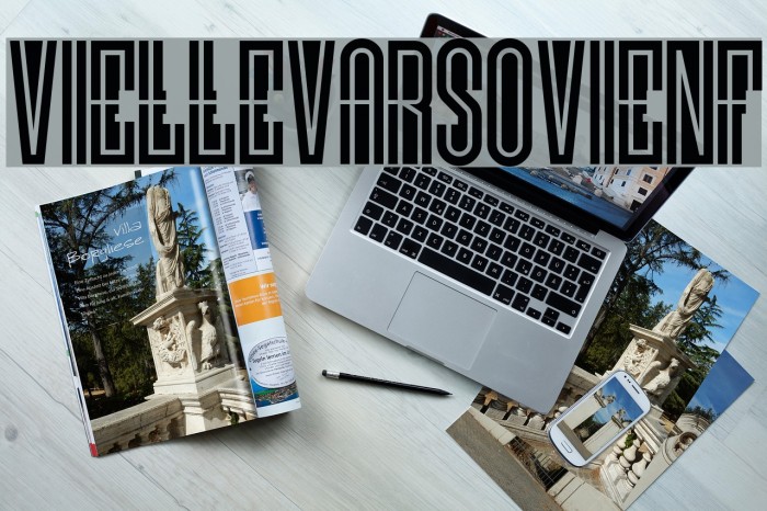 VielleVarsovieNF Polices examples