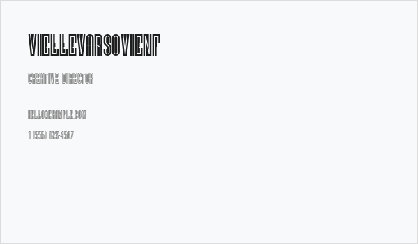 VielleVarsovieNF Business Card