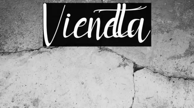 Vienetta Font examples