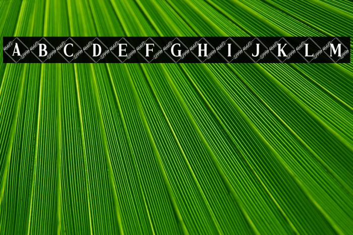 Vierasti Monogram Example 1