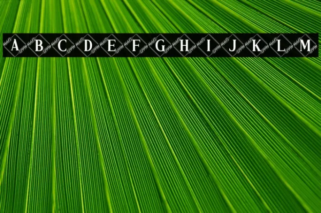 Vierasti Monogram Example 1