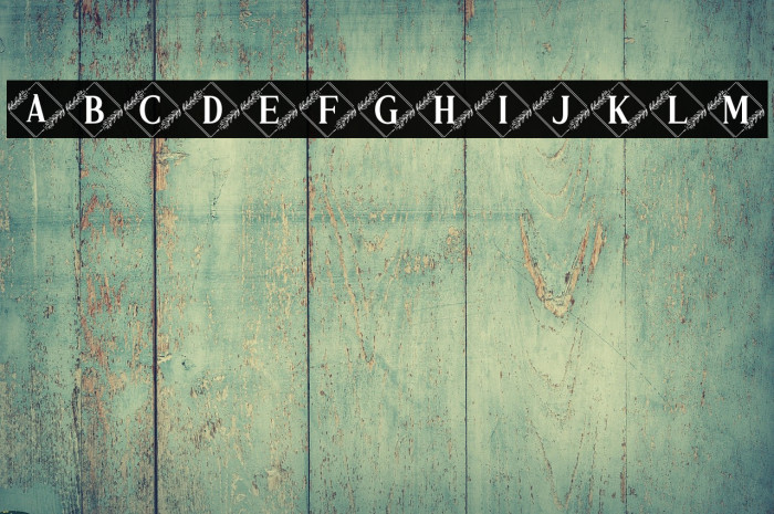 Vierasti Monogram Example 2