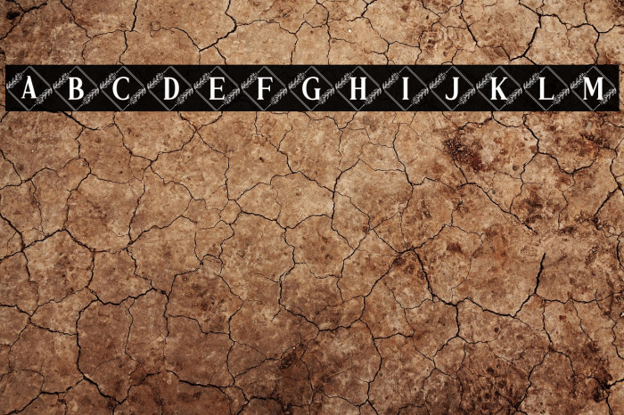 Vierasti Monogram Example 3