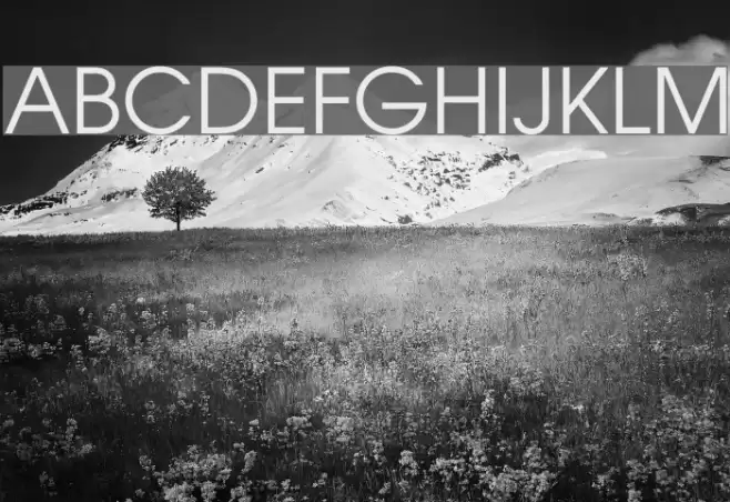 VietVu Font examples