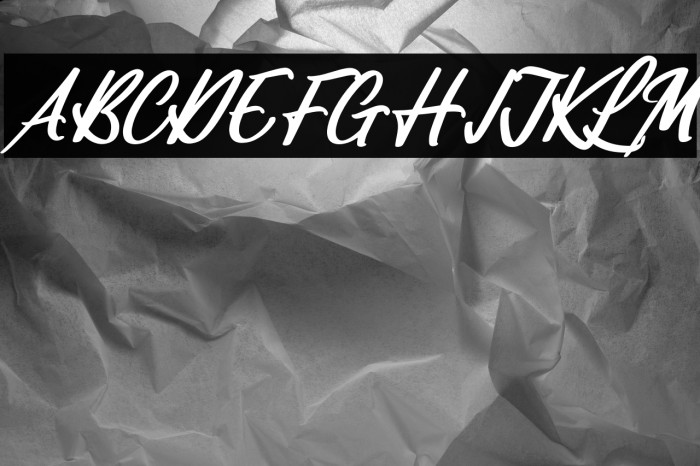 Vifastev Caledon Italic Example 2